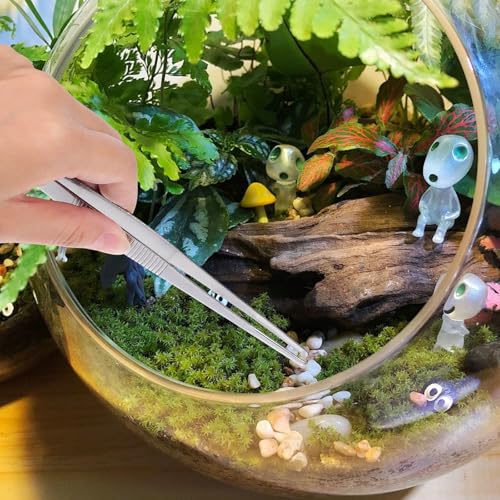5pcs Stainless Steel Garden Tweezers Set, Precision Long Plant Tweezers for Succulent Bonsai Terrarium Craft Aquarium Gardening Tools