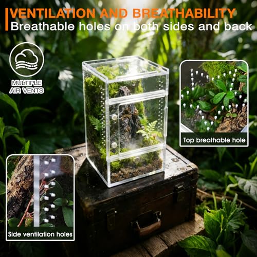 Jumping Spider Enclosure, Small Acrylic Terrarium, Magnetic Front & Top Opening, Bug Habitat for Jumping Spiders, Tarantulas, Praying Mantis, Snails (3.14" x 3.14" x 5.9") - size: Basic Vertical-Mini