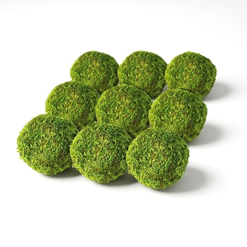 SuperMoss (21769) Moss Balls – Preserved Decorative Moss Balls for Home Décor, Vase Fillers, Centerpieces, Terrarium & Wedding Décor, Natural Green Moss Décor Balls, 2" (9 pack), Fresh Green - color: Fresh Green, size: 2" (9 Pack)