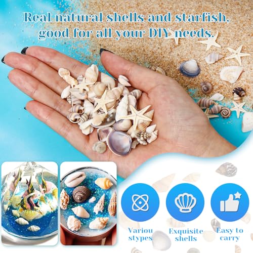 1200 Pieces Tiny Sea Shells Small Natural Starfish Mixed Ocean Beach Spiral Seashells for Home Decorations,Wedding Decor,Candle Making,Beach Theme Party,DIY Crafts and Vase Filler