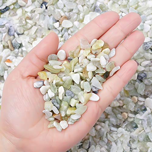 Succulent and Cactus Bonsai DIY Rocks, Jade Bean Pebbles, Natural Decorative Polished Stones Vase Fillers Gravel for Plants，Terrarium, Fairy Gardening, Indoor Outdoor Decor Ornamental Stones. - size: 10LB