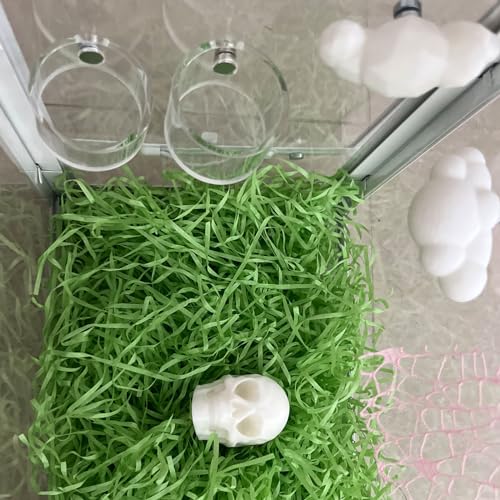 2Pcs Jumping Spider Feeding Dish, Magnetic Tiny Food Dishes Water Dish for Jumping Spider, Tarantula and Other Small Pets,Transparent - size: Multiple