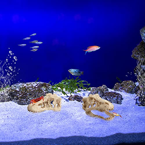 Saim Dinosaur Skull Model Resin Aquarium Decorative Reptile Decor Home Office Display