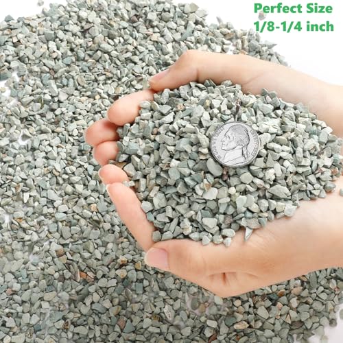 Boniosz 5lb Succulents and Cactus Green Zeolite, Décor & Additive Rocks, Natural Decorative Gravel for Bonsai, Fairy Gardening, DIY Projects, Vases Fillers, Terrarium - color: Green Zeolite, size: 5lb