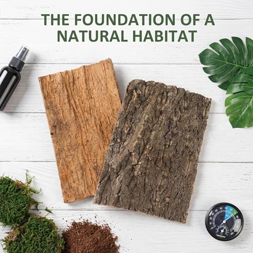 TOYANDONA 2pcs Natural Cork Bark Terrarium Background - 11. 8x7. 9in Reptile Climbing Mat Hideout, Habitat Decor for Bearded Dragon Lizard Gecko Spider Turtle Tank Supplies