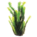 Underwater Treasures 20763 Diandra