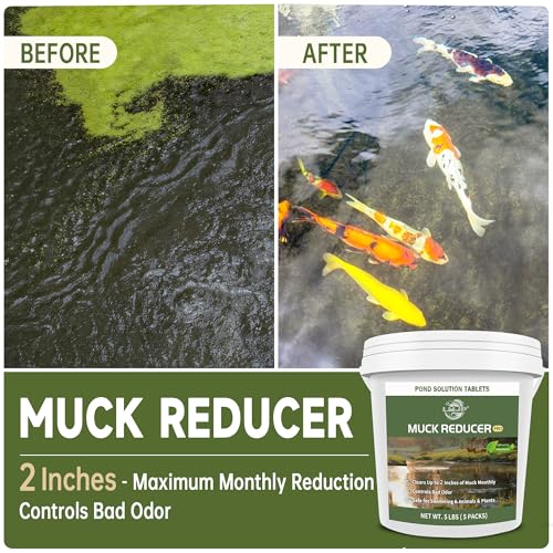 LMJP Muck Reducer - 5LB Natural Sludge Solution Tablets for Ponds & Lakes, Away Muck & Odor Control, Safe for Aquatic Life, Wildlife & Recreation, Treats Up to 30,000 Sq Ft - size: 5 Pounds
