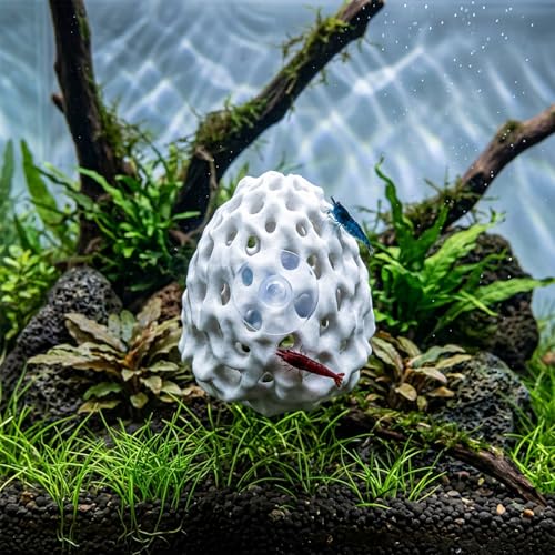 Chedin Plastic Shrimp Dome Hide with Suction Cup - Ideal Aquarium Ornament for Shrimp, Guppy & Betta Fish Hiding and Resting, White