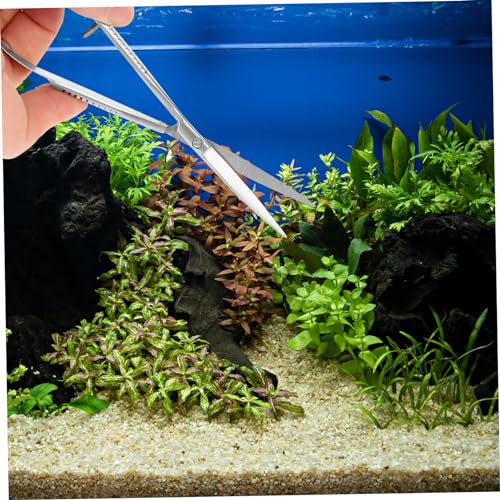 BESPORTBLE Turtle Tank Accessories Aquarium Scissor Easy Use Plant Scissor for Fish Tank Decorations
