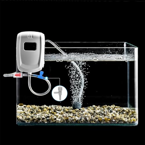 M METERXITY 1-Set Aquarium Air Valve, for 3/16" Airline Tubing PVC Aquarium with L-Shape Air Control Valves Check Valves for Fish Tanks/Aquaculture, Regulators Air Pump Adjustable [Blue, Red] - color: Blue, Red