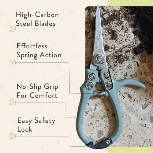 Modern Sprout Hand Pruners & Shears Set w/blister - Lightweight Gardening Tools - Easy Lock - Sharp Carbon Steel Blades - Rust Resistant Scissors for Herbs & Flowers- Gift for Father's Day-Chartreuse - color: Chartreuse