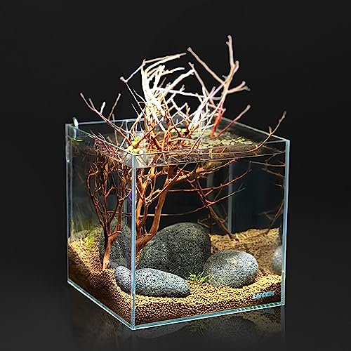 LANDEN Taiji Stone Natural Rocks(18lbs, 2~9 inches,6pcs) for Aquascape and Bonsai, Aquarium, Paludarium, Fish Tank Decoration Rocks, Landscaping Model Stone - size: 10 Taiji Stone(2-9 inches, 17lbs)