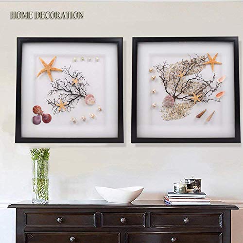 Sea Shells Mixed Beach Seashells 9 Kinds 1.2"-3.5 "Various Sizes Natural Seashells and 2 Kinds of Natural Starfish for Beach Themed Party DIY Crafts Fishtank Vase Fillers Home Wedding Decorations - color: Various
