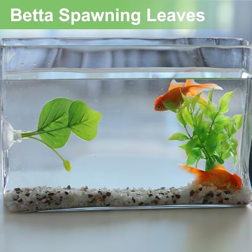 Betta Fish Leaf, Natural Habitat Simulation for Betta Spawnings Grounds, Betta Spawnings Leaves, Resting Bed, Large & Small Leaves, Green