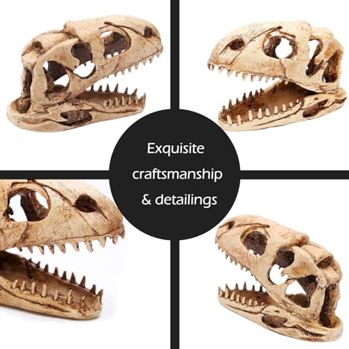 Dinosaur Animal Skull Aquarium Large Décor Cave Decorations Fish Hideout Tank Betta Tarantula Reptile Snake for Terrarium Decor Ornament Bones Halloween - color: Velociraptor