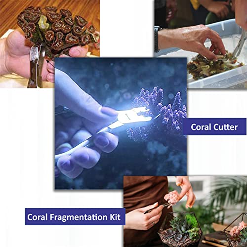 A2ZScilab - Basic Coral Propagation FRAGGING KIT, 16 Pcs Tools for Hard Soft Freshwater Reef, Stainless Steel - Coral Cutter+Knife,Scissors & Foceps for Aquatic Plants,Coral Fragmenting Trim Cleaning