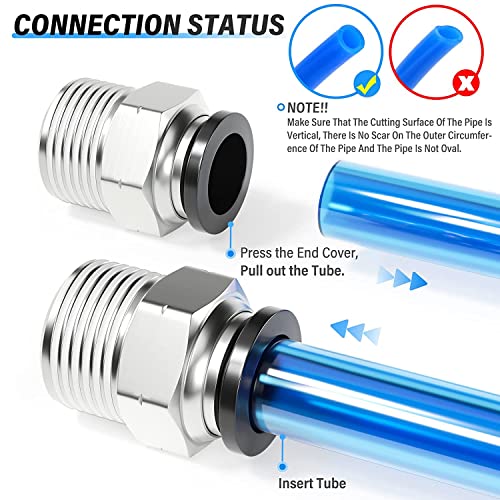 TAILONZ PNEUMATIC Male Straight 1/2 Inch Tube OD x 1/2 Inch NPT Thread Push to Connect Fittings PC-1/2-N4 (Pack of 20) - size: 1/2"OD x 1/2"NPT