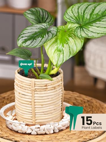 GROWNEER 15 Packs 12 Inches Clear Plant Saucers Flower Pot Trays, with 15 Pcs Plant Labels, Plastic Plant Saucer Drip Trays for Indoor Outdoor Plants Garden - size: 12 Inch, 15-Pack
