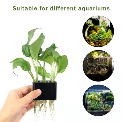 3 Holes Upgraded Aquatic Plant Cup Aquarium Plant Holder for Tank,Aquascape Accessories Decorations- Black 2 Pcs