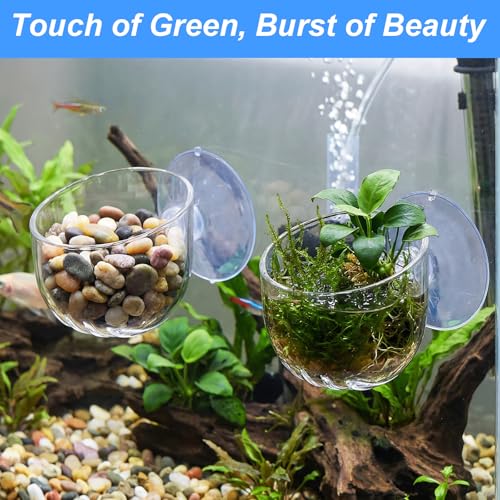 2PCS Aquarium Plant Holder, Fish Tank Plant Holder for Aquascape Decoration, Red Worm Fish Feeder, Aquarium Planter Cup with Suction Cup, Clear