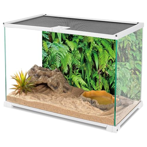 AWERT 48x24 inches Tropical Plants Terrarium Background Tropical Leaves Aquarium Background Rainforest Reptile Habitat Background Polyester Background