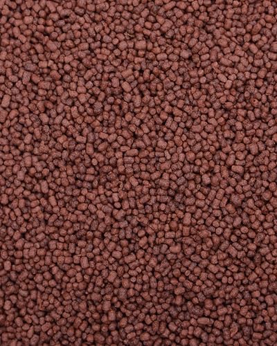 San Francisco Bay Brand Fish Food 0.53 oz - Fun Feeder Betta Bites, Floating Pellets for Betta Fish, Betta Fish Food with Bloodworms - 1.1-1.5mm Small Pellets for All Betta Fish, 15g