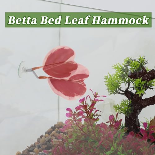 Betta Fish Bed, Betta Leaf Bed, Plastic Betta Heart-Shaped Hammock, Betta Hammock Pad with Suction Cup, Betta Fish Resting Place Betta Fish Supplies Aquarium Decor, Pink - color: Pink