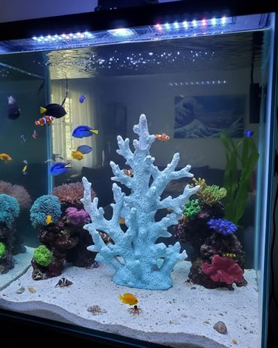 Lifelike Coral Reef Sculpture Statue - Handmade Resin Ocean Decor for Aquarium, Desk, Bathroom, Shelf - Coastal Beach Nautical Theme Gift for Home & Office