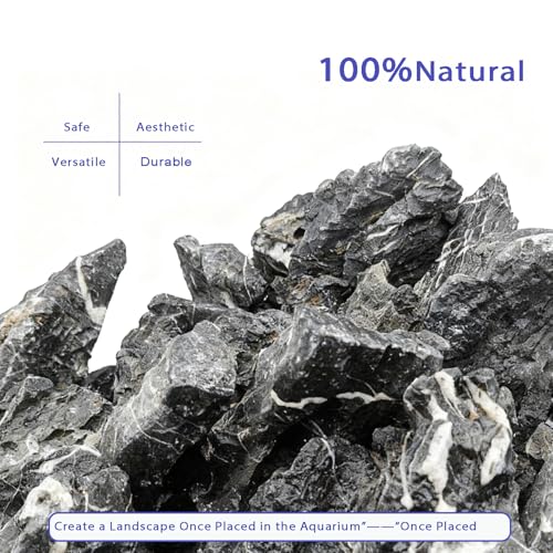 Natural Seiryu Stones Dragon Rocks 10lb Natural Aquascaping Stones for Aquarium Landscaping Fish Tank Decoration and Reptile Terrarium Décor-2-7 Inches - size: 10lb(2-7in)