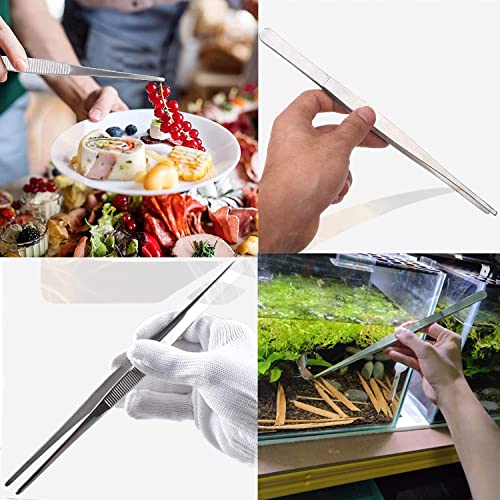 24" Tweezers (Herp Feeding Tool) Snake Reptile Stainless Steel Straight for Educational Use