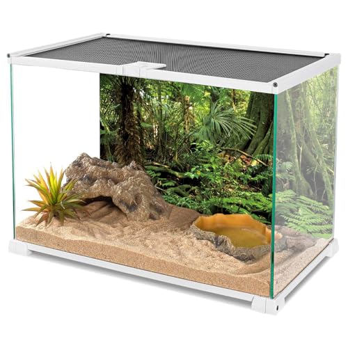 AWERT 60x24 inches Forest Terrarium Background Stone Green Huge Tree Reptile Habitat Background Tropical Rainforest Aquarium Background Durable Polyester Background - size: 60x24in/150x60cm