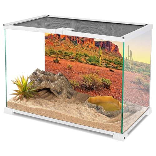 AWERT 36x24 inches Reptile Habitat Background Sky Oasis Mountain Cactus Sun and Desert Terrarium Background Durable Polyester Background - size: 36x24in/90x60cm