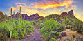 15x8ft Western Desert Backdrop Arizona National Park Rock Mountain Green Plants Saguaro Cactus Landscape Terrarium Background Reptile Habitat Tank Decor Cowboy Pet Portrait Photo Shoot Props - size: 15x8ft