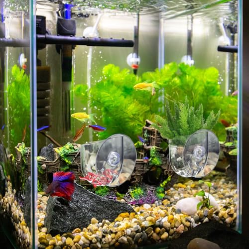 5 Pieces Clear Aquarium Plant Holder with Suction Cup, Acrylic Aquatic Fish Tank Plant Holder Pot, Transparent Hanging Aquarium Planter Cup Fish Shrimp Feeder for Aquascape Decoration