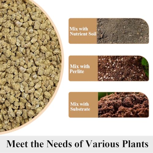 YISZM Succulent and Cactus Maifanitum Stones Garden Accessorie Rocks Pumice for Indoor Plants, Bonsai, Fairy Gardening, Vases Fillers, Terrarium, 2lb - color: Maifanitum Stones, size: 2 Pounds