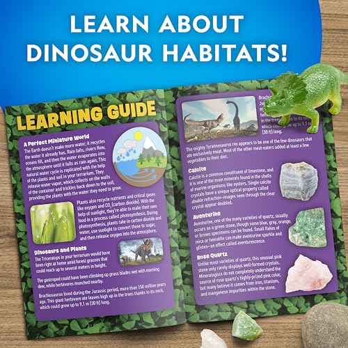 National Geographic Dinosaur Terrarium Kit for Kids – Multicolor Light-Up Terrarium, Build a Dino Habitat with Real Plants & More, Science Kit, Dinosaur Toys for Kids - style: Dino Habitat