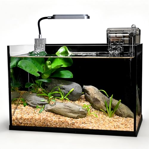 Desktop Glass Fish Tank, 2.8 Gallon Small Betta Fish Tank Starter Kit with LED Light, Efficient Filter and Non-Slip Base, Black Nano Aquarium for Small Space Home Decor ﻿