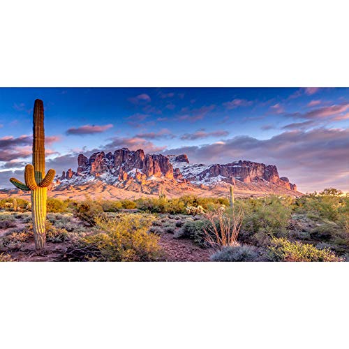 Leyiyi 36x14 inches Arazona Mountain Cactus Photography Background Desert Sunset Summit Western American Travel Hiking Desert Flora Cloud Desolate Cowboy Polyester Backdrop Terrarium Background - color: Desert1, size: 36x14in