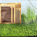 3 Bags Aquarium Plant S.e.e.d set, not aritifical plastic, Fresh Water Grass for Fish Tank zmml4