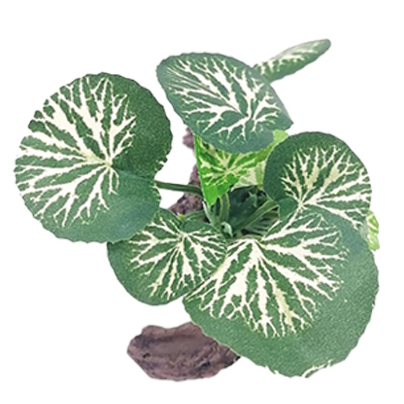 Fish Tank Decorations Silk Aquarium Plants for Betta Fish African Dwarf Frog Tank Accessories