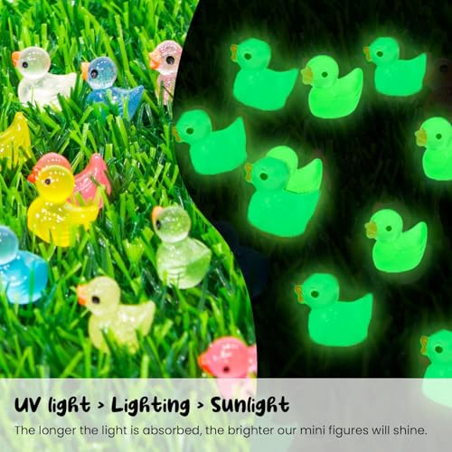 FEXIA 100pcs Mini Ducks Glitter Resin Tiny Ducks Animals Figures to Hide Glow in the Dark Duck Figures for Dollhouse Aquarium Fairy Garden Decor - color: Ducks-100pcs