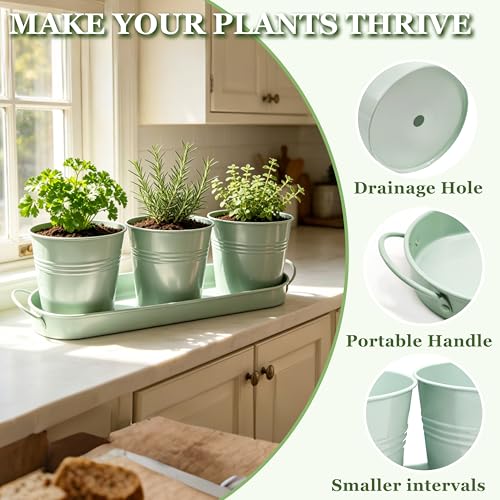 TCBWFY Indoor Herb Garden Planter Set - 3 Pack 4.7" Green Metal Plant Pots with Drainage Holes & Removable Tray - Windowsill Kitchen Counter Balcony Office Garden - color: Green