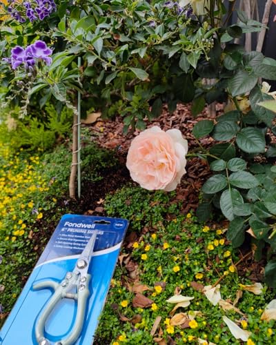 Fondwell 6" Pruning Shears Garden Scissors: Ultra Sharp Garden Clippers - Reliable Flower Snips for Trimming Small Plants - style: 6" Straight