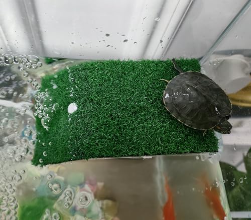 alfyng Small Turtle Resting Basking Platform, Simulation Grass Turtles Ramp, Lawn Tortoise Climbing Ladder Resting Terrace Turtle Dock Floating Décor for Reptile Frog Terrapin - size: S