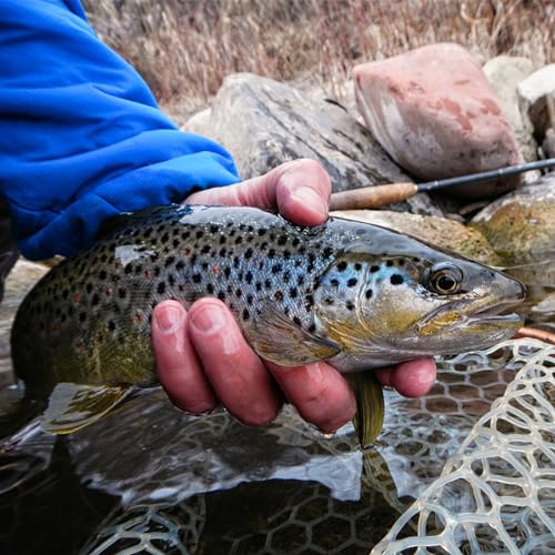 Fly Fishing Net, Trout Net, Wooden Frame Fly Fishing Landing Net with Soft Rubber Mesh for Catch and Release, Lightweight Fish Net for Trout Bass, Fly Fishing Gear for Stream Fishing - color: White-01, style: Rectangle Holes