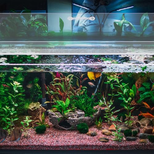 Sieral Aquarium Lid Polycarbonate Canopy Set Aquarium Cover Fish Tank Lid Without Center Brace with a Hook Knife(Clear,12 x 6 Inch) - color: Clear, size: 12 x 6 Inch