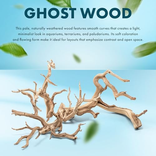 SubstrateSource Natural Aquarium Driftwood for Fish Tanks, Terrarium, Reptile Habitats, Freshwater Aquatic Decor - Small to Large Pieces (Ghost Wood (Large) 18-26", 1 Piece) - size: 1 Piece