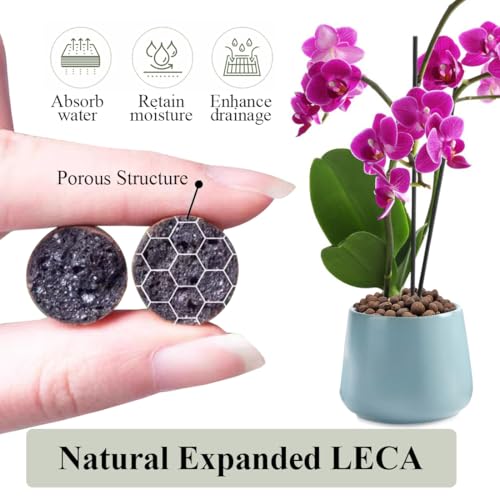 YISZM Clay Pebbles for Plants, 8mm-12mm Expanded LECA Balls Plant Garden Soil, Hydroponic, Aquaponics, Natural Leca Balls for Soil Root Development, Orchid Potting Mix, 2lb - color: Clay Pebbles, size: 2 Pounds