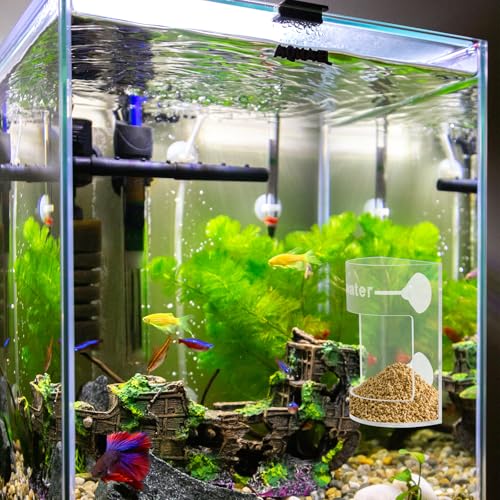 Round Fish Tank Feed Tray with Scale and Suction Cup, Feeding Tube Supplies, Tank Divider Supplies, Breeder Box for Aquarium, Round Aquariums & Fish Bowls Accessories