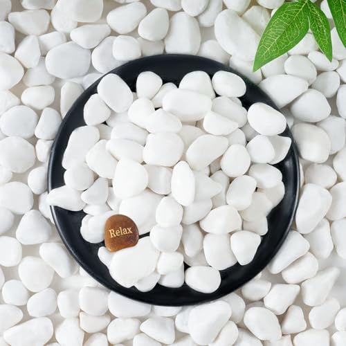 SIDONG 5 LB White River Rocks, 0.4-1.2 Inches Matte Pebbles for Indoor Plants, Aquarium Rocks Used in Fish Tank, Decorative Stones for Plants, Vases, Home Décor, Crafting, Garden Landscaping - color: White, size: 5 lbs,0.4-1.2inch